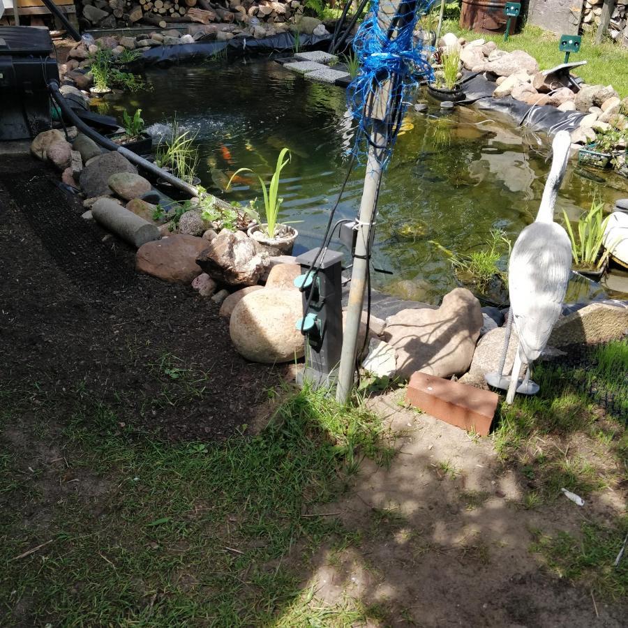 Gaestehaus Am Teich Raben Steinfeld Buitenkant foto