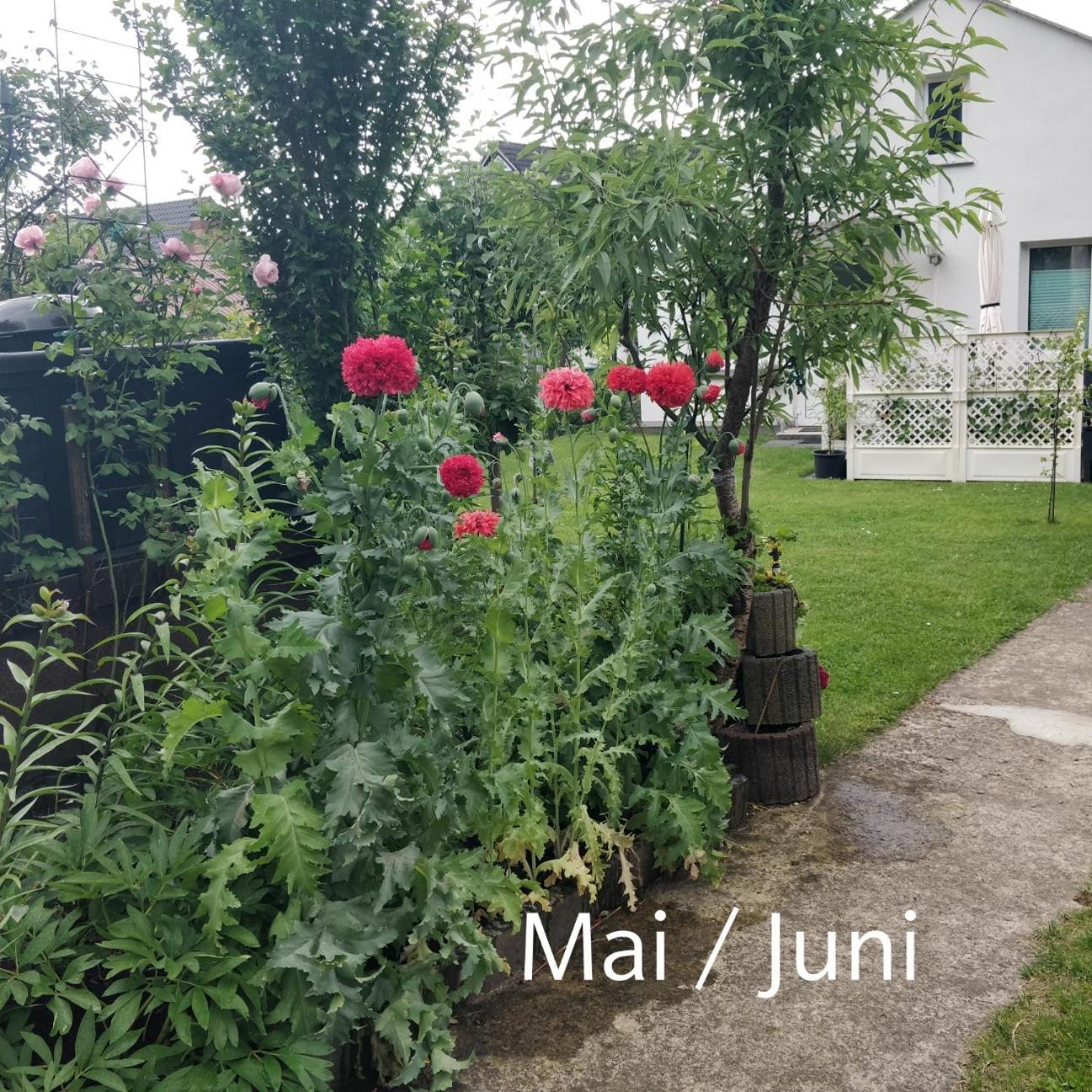 Gaestehaus Am Teich Raben Steinfeld Buitenkant foto